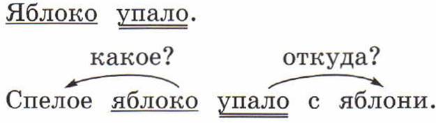 Укажи связь слов. Как установить связь слов в предложении. Как установить связь в предложении 2 класс. Предложение связь слов в предложении 2 класс. Установи связь слов в предложении.