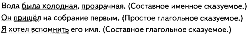 image12